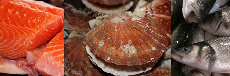 Poissons, coquillages et crustacés..
