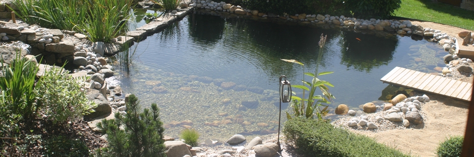 La Piscine Verte Fait Des Remous Escout Moi Voir Webzine